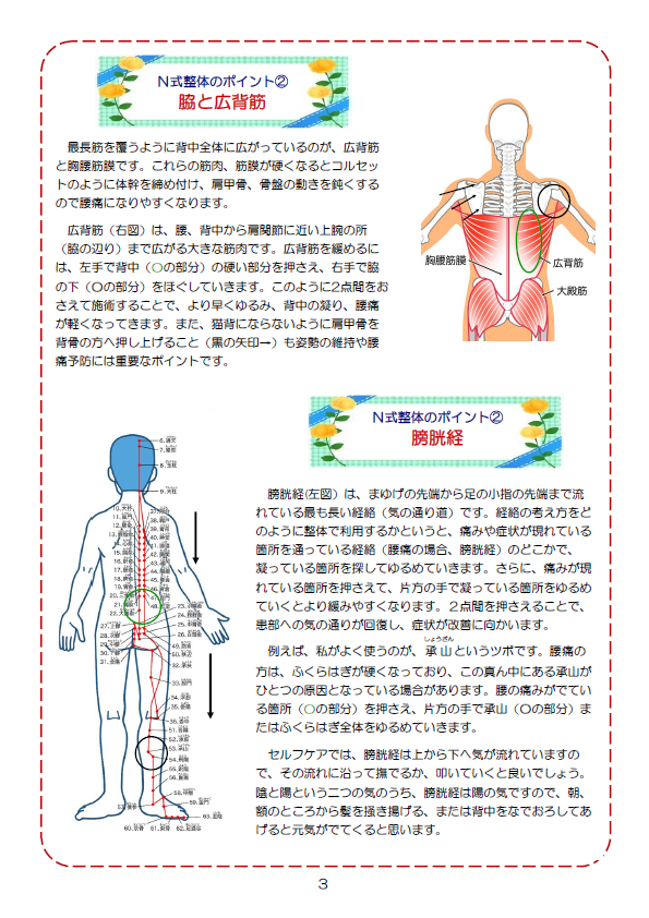 N式整体のポイント② 脇と広背筋