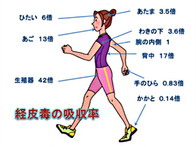 さいたま市 デトックス