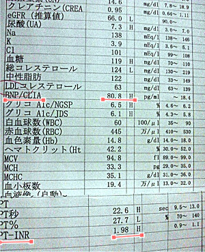 さいたま市 検査値